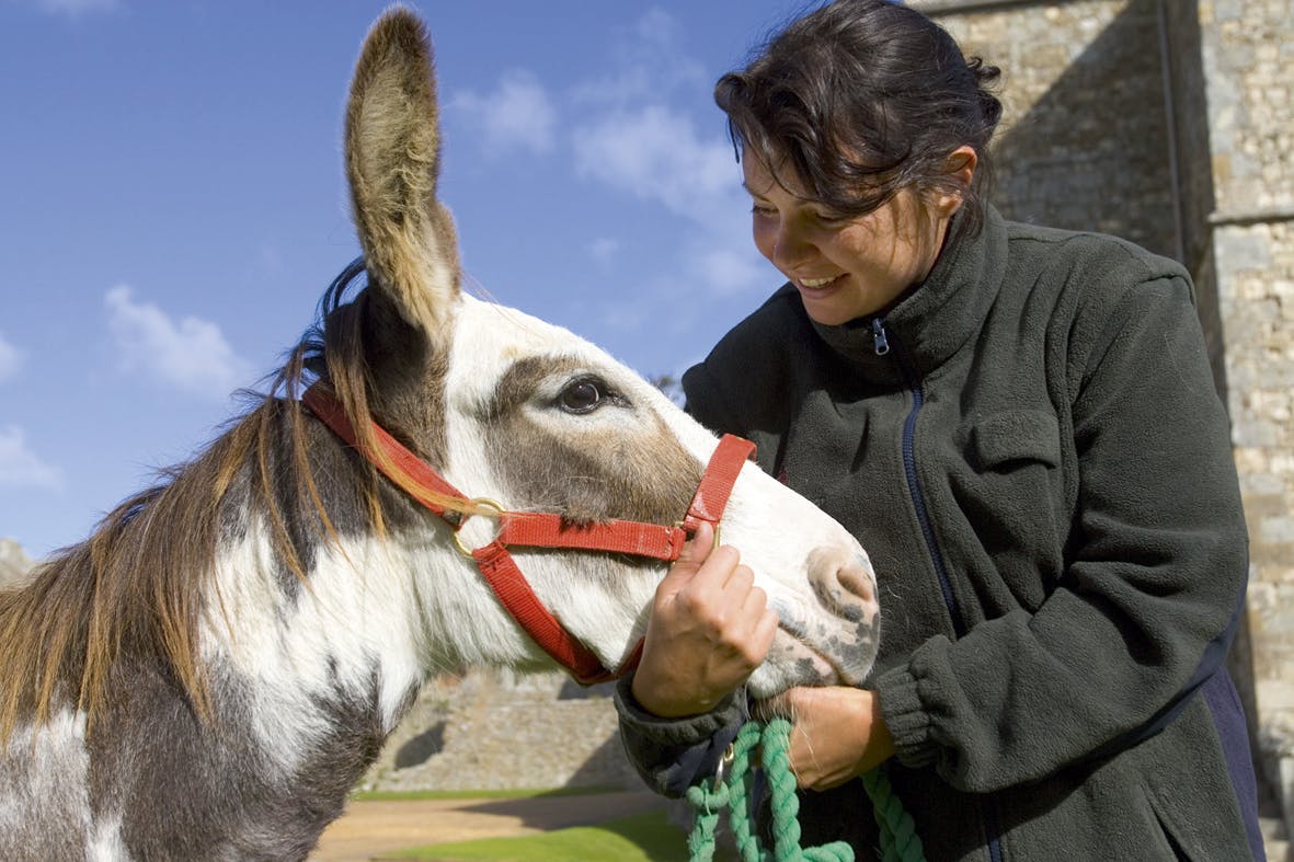 一个穿着绿色夹克的人微笑着抱着一头戴着红色吊带和绿色绳索的驴。 后面是石头建筑。