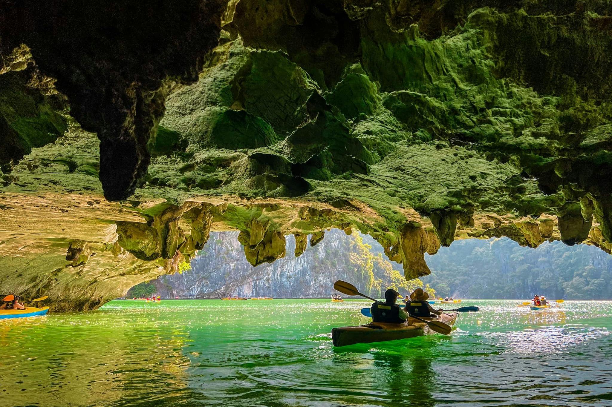 Baia di Halong e Baia di Lan Ha: Crociera in catamarano a 5 stelle + pranzo + trasferimento facoltativo — 7