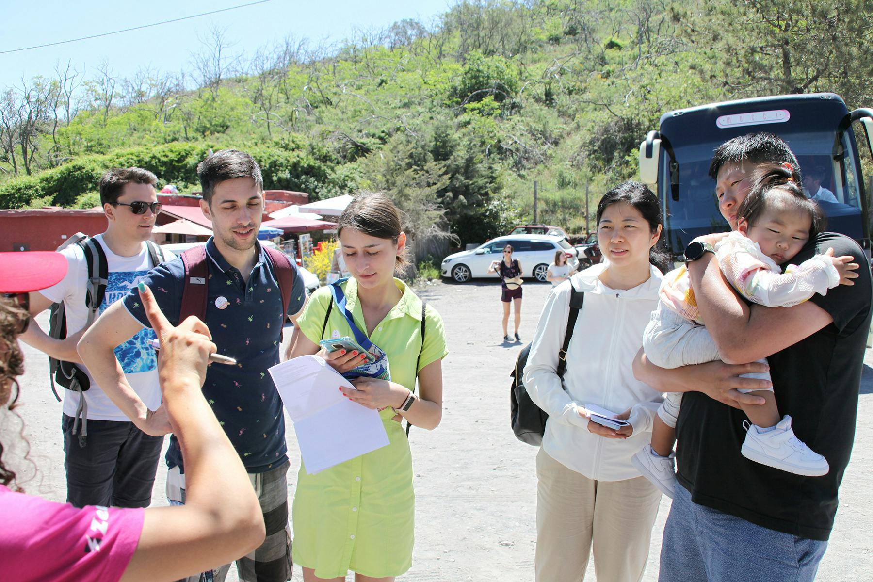 维苏威游览图片