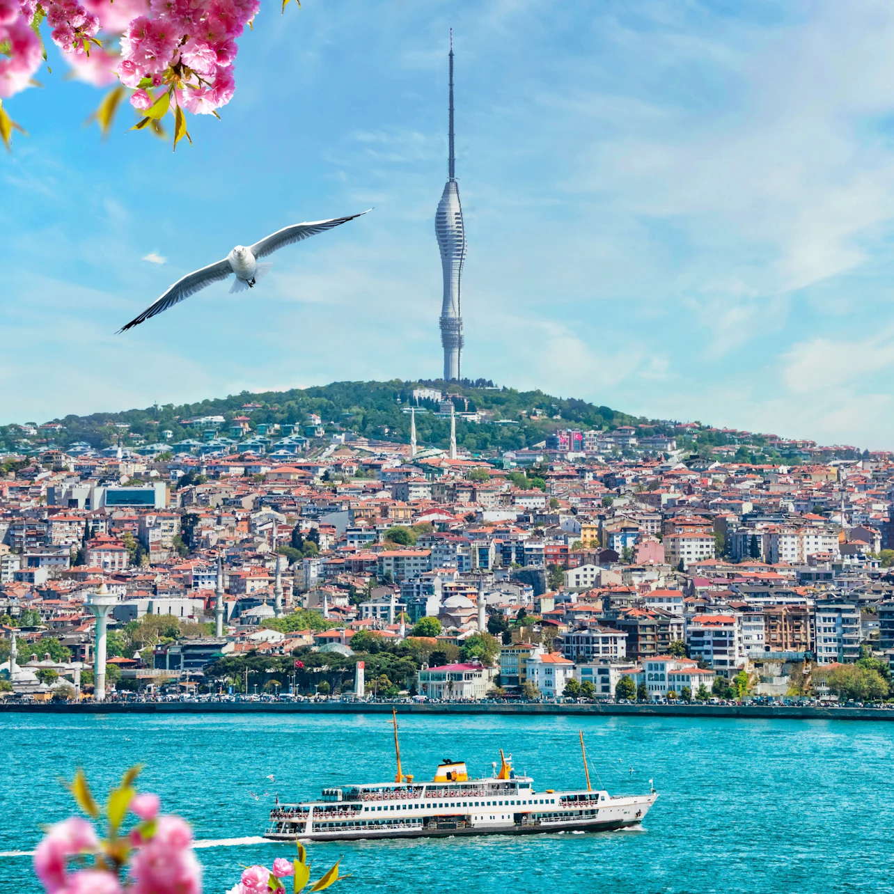 Slider Image