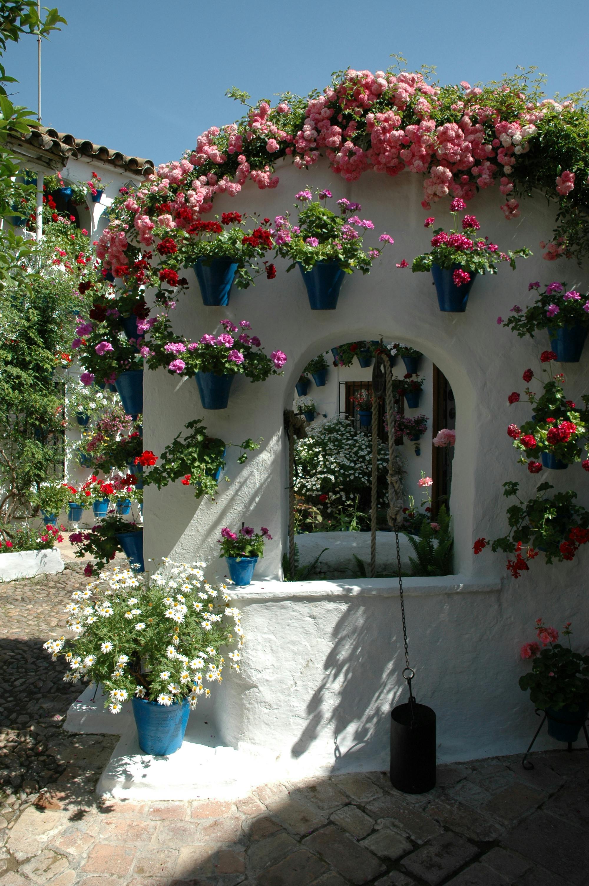 A white-walled courtyard with numerous colorful flowers in blue pots, some hanging and some placed on the ground.