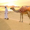 promenade à dos de chameau