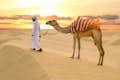 paseo en camello