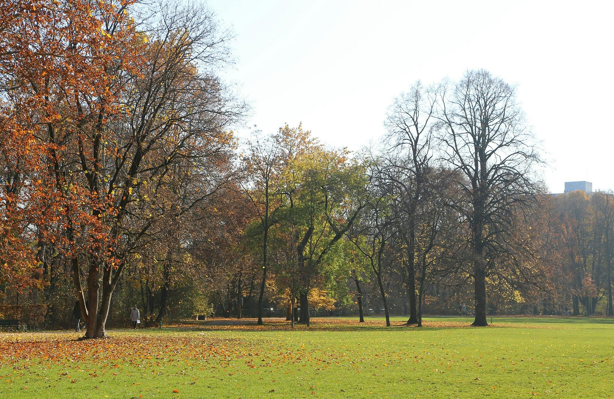 Travnatý park s roztroušenými podzimními listy a stromy v různých fázích pádu listí; mezi stromy se procházejí dva lidé.