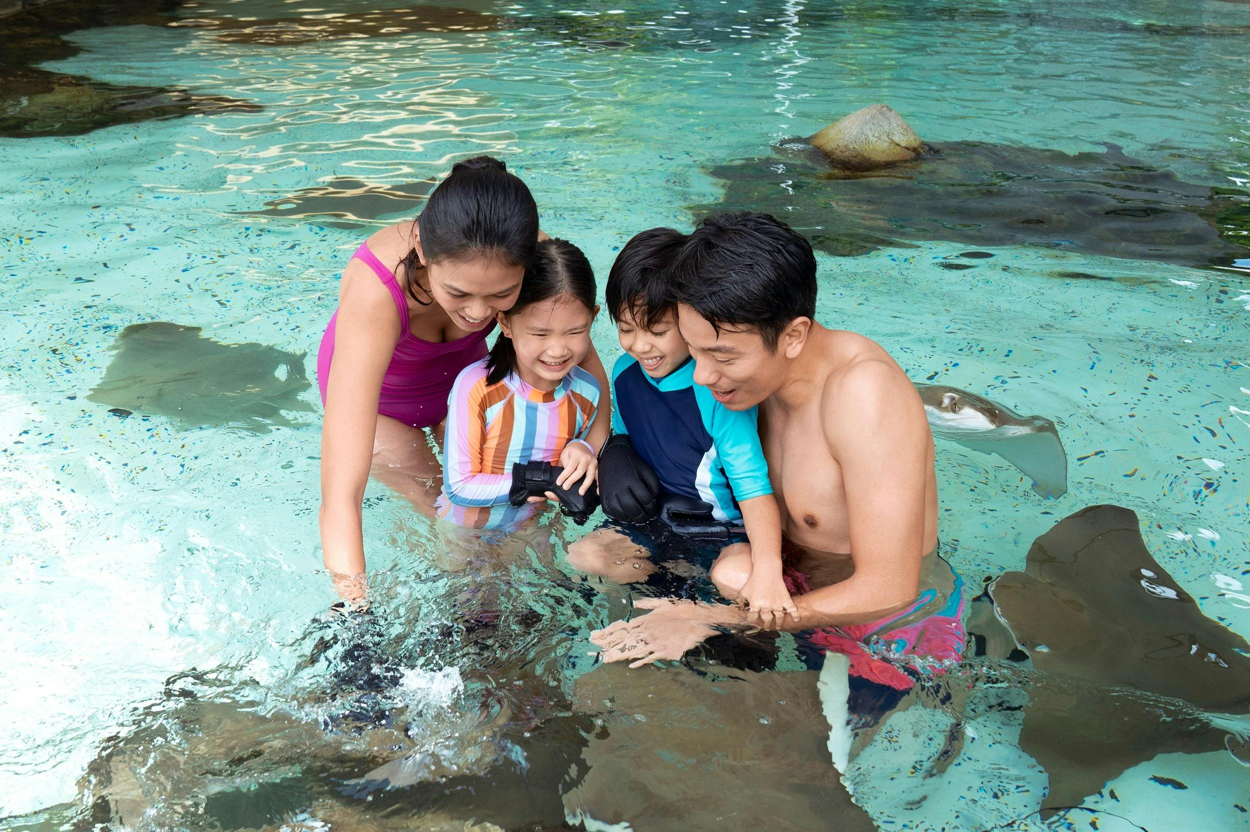 Adventure Cove Waterpark: Entrance + Pick-Up