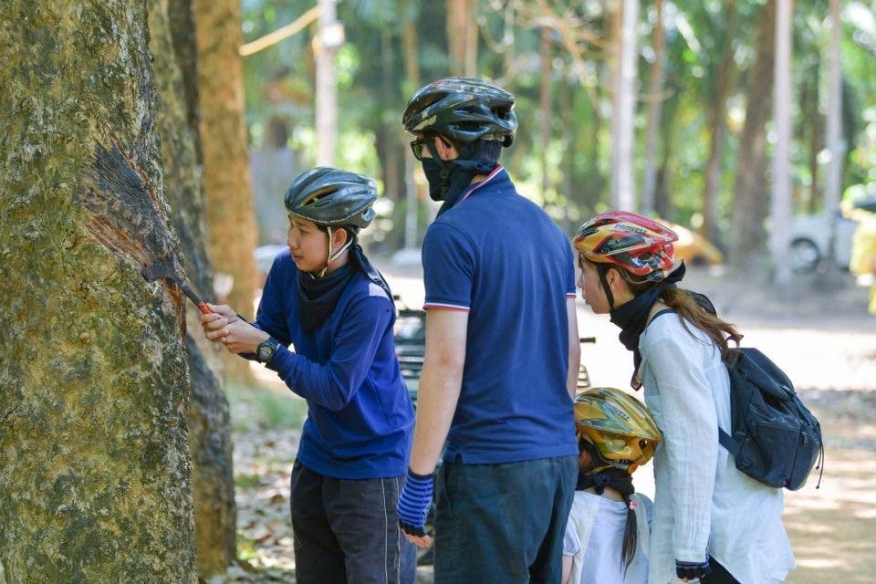 Phuket: Guided ATV Mangrove Jungle & Hidden Beach Tour + Transportation 4