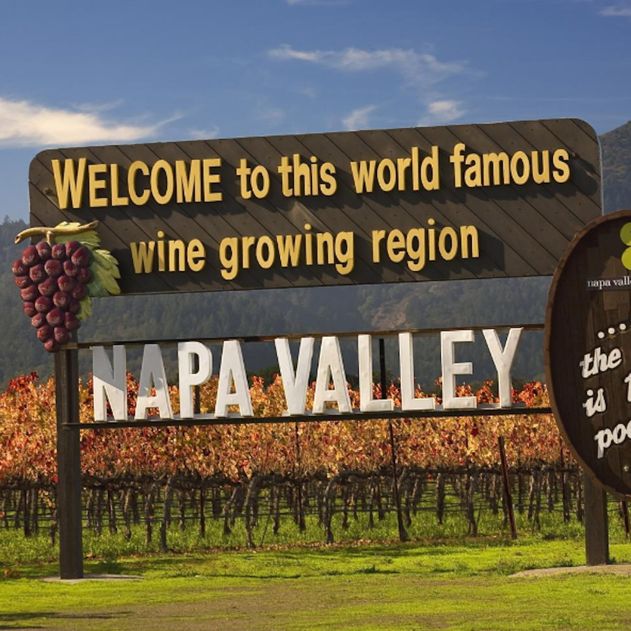 Valle de Napa y Sonoma: Tour enológico de un día desde San Francisco - Alojamientos en San Francisco