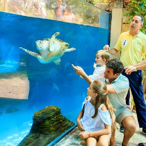 Palma Aquarium: Entrada + Traslado Llucmajor - Arenal