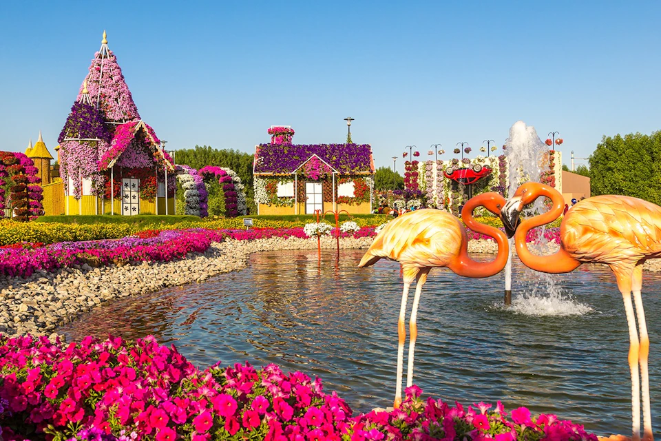 Miracle Garden