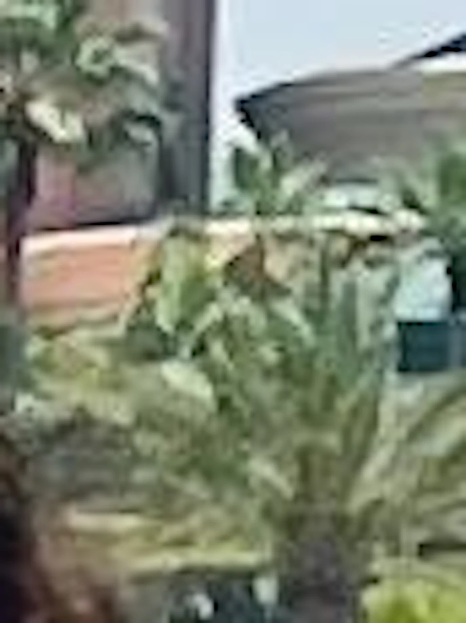 Photo of product