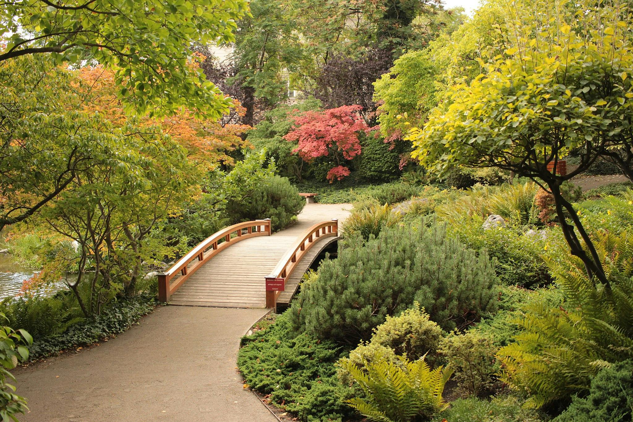 Dřevěný most obklopený svěžími zelenými stromy a keři v klidné zahradě.
