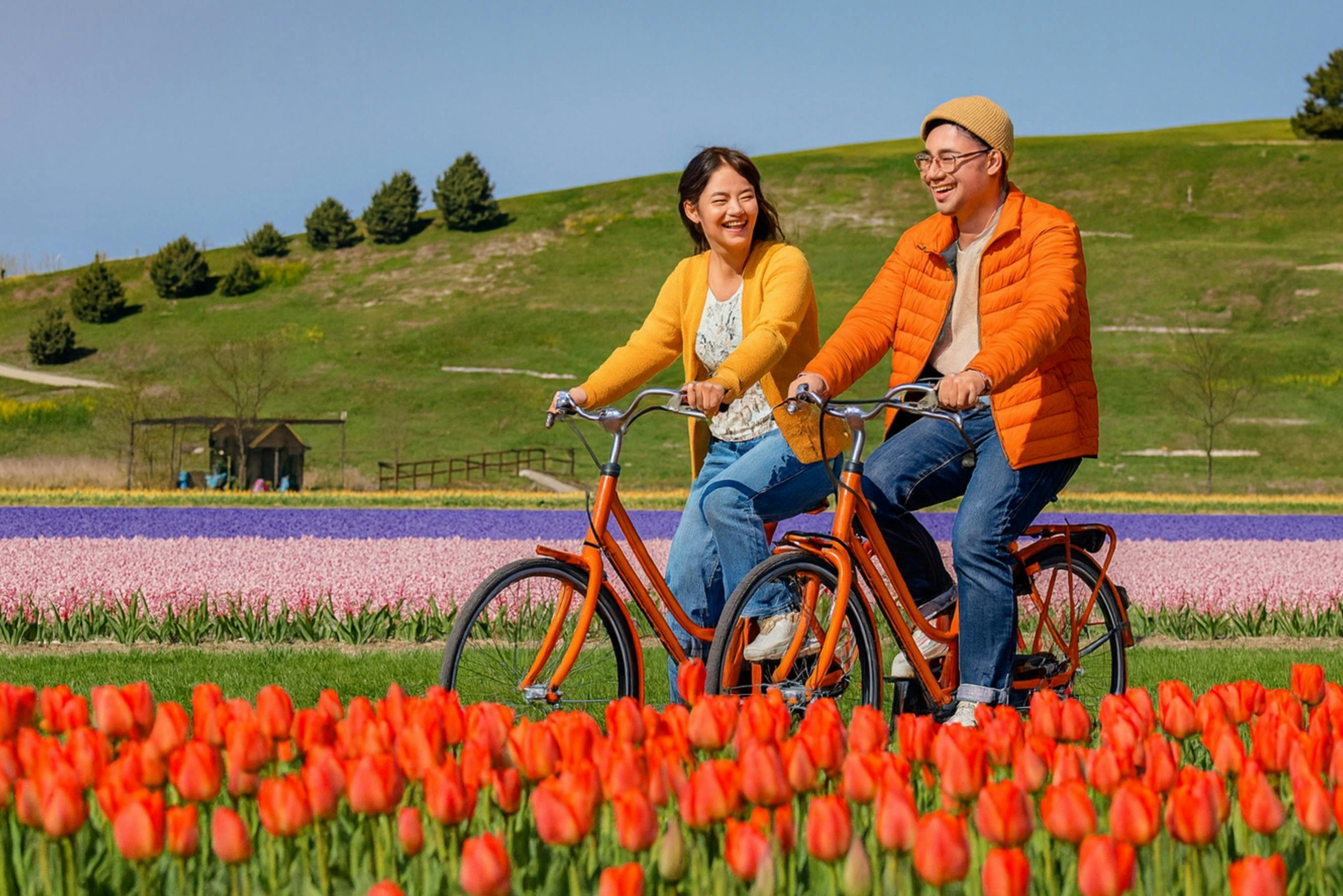 From Amsterdam: Tulip Fields Half-Day Bike Tour + Roundtrip Transport by Coach