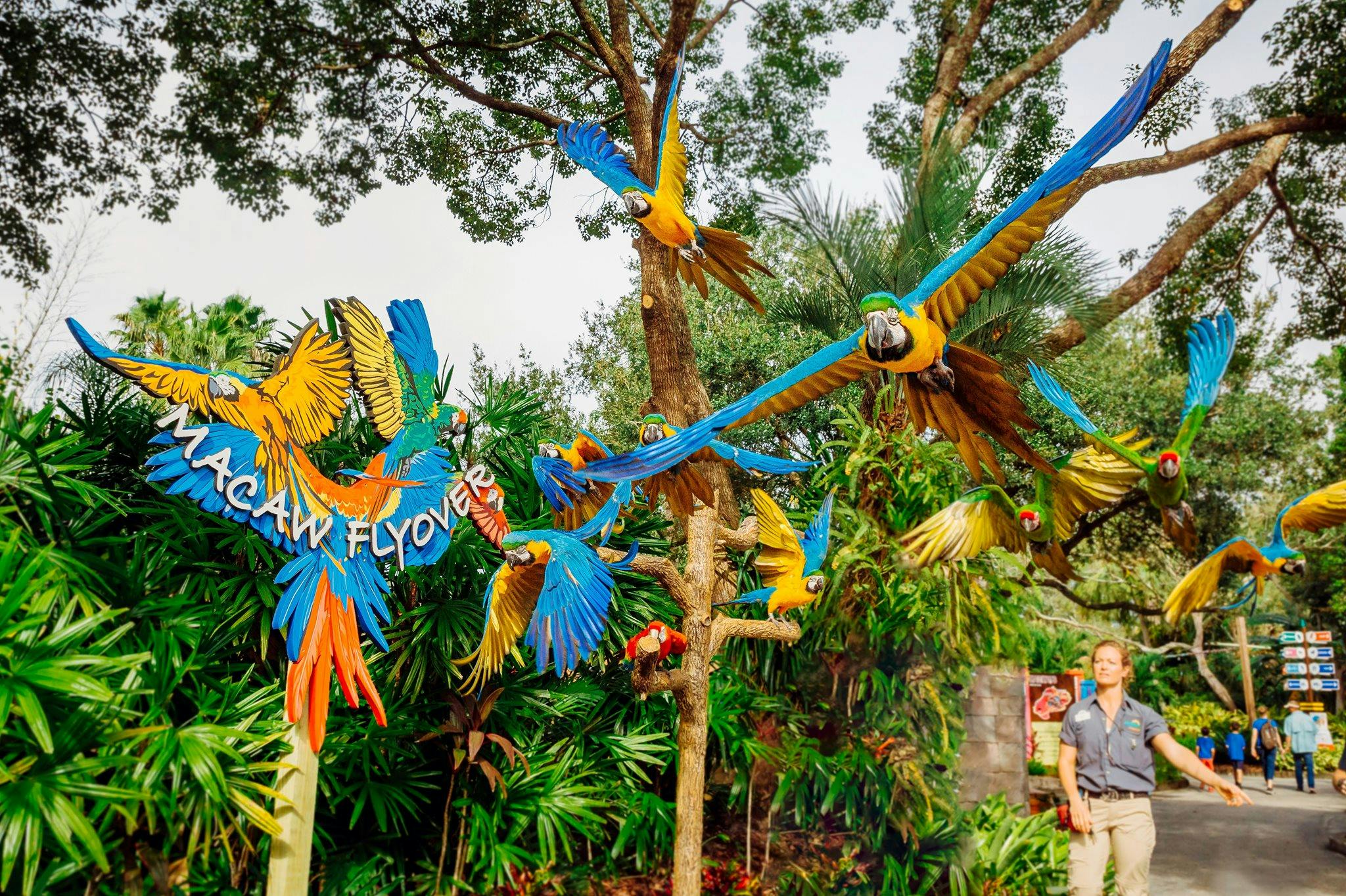 ZooTampa in het Lowry Park