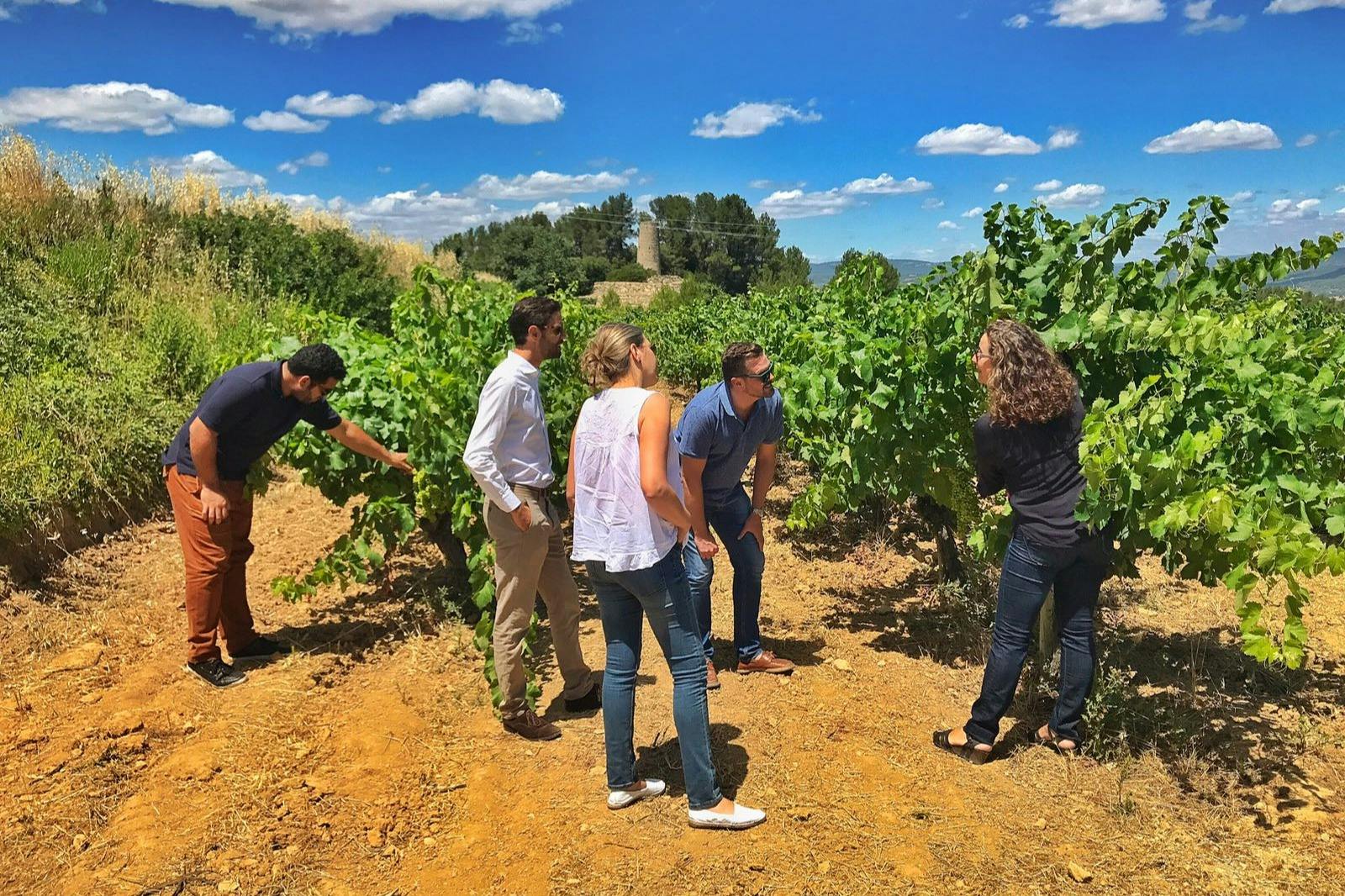 Wine & Sparkling Wine Premium Tour Tickets Tiqets