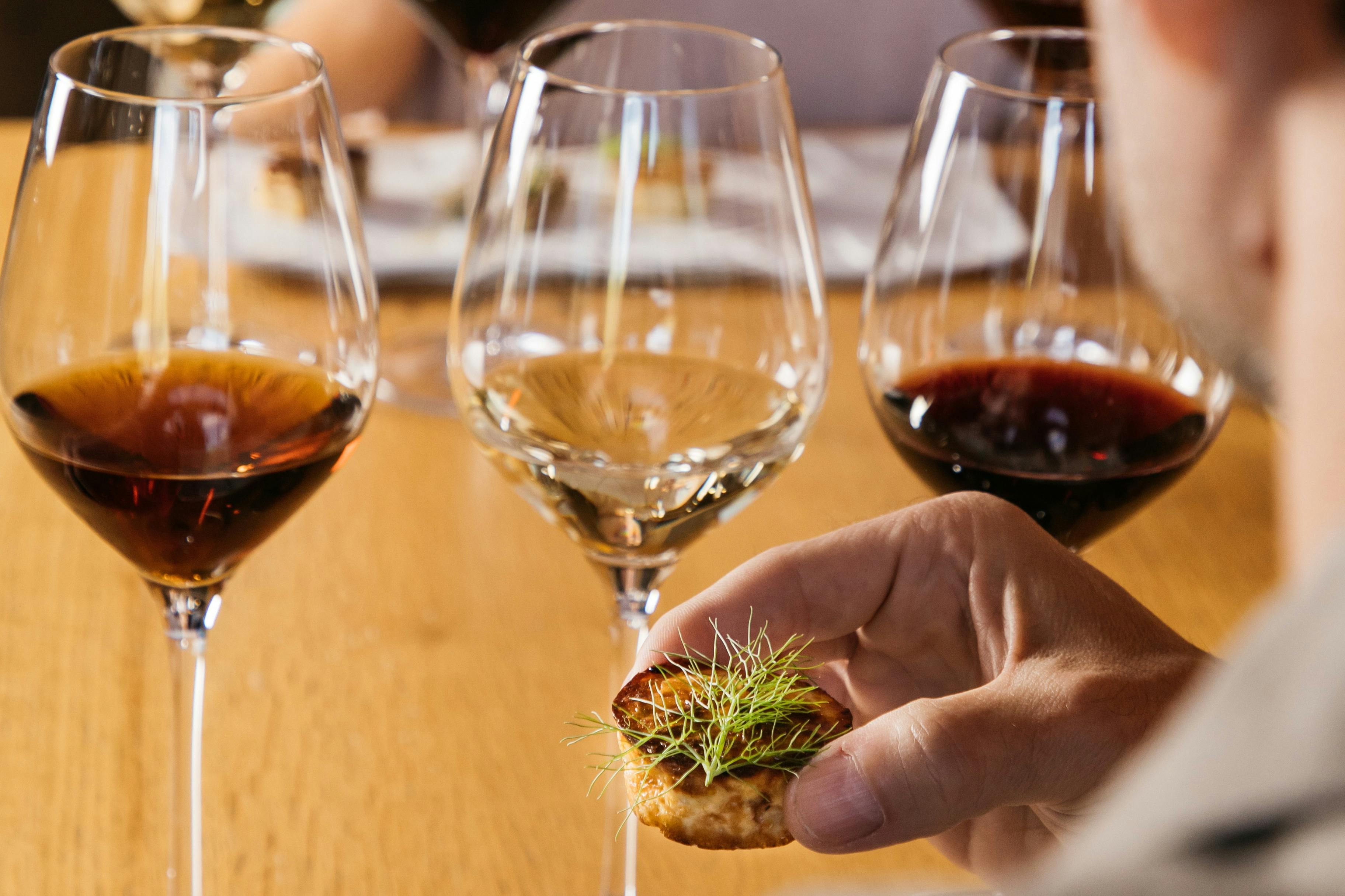 Torres Winery: Tour guidato + Abbinamento vino e tapas — 6