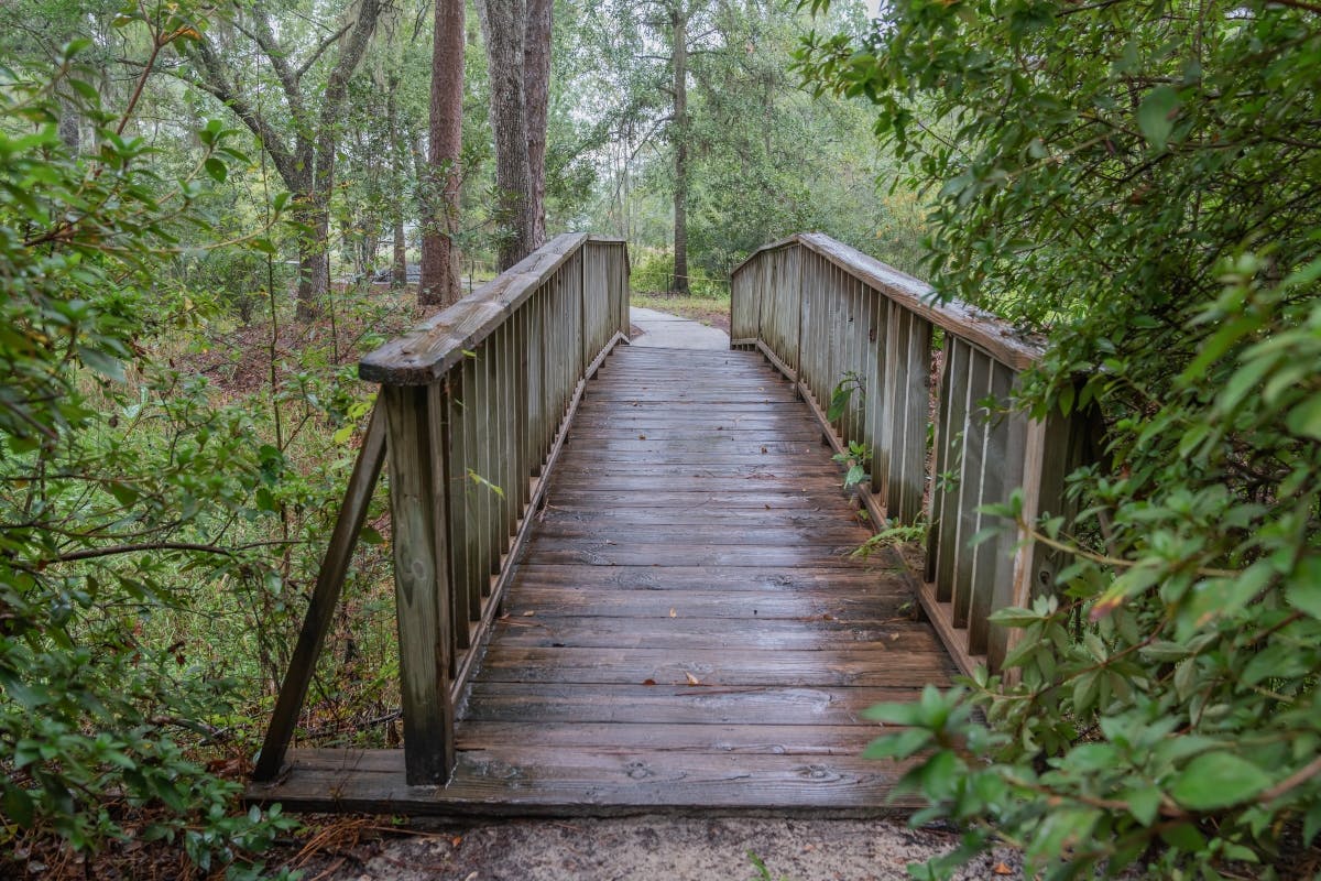 Dřevěný most v lese vede na stezku obklopenou svěžími zelenými stromy a listy.