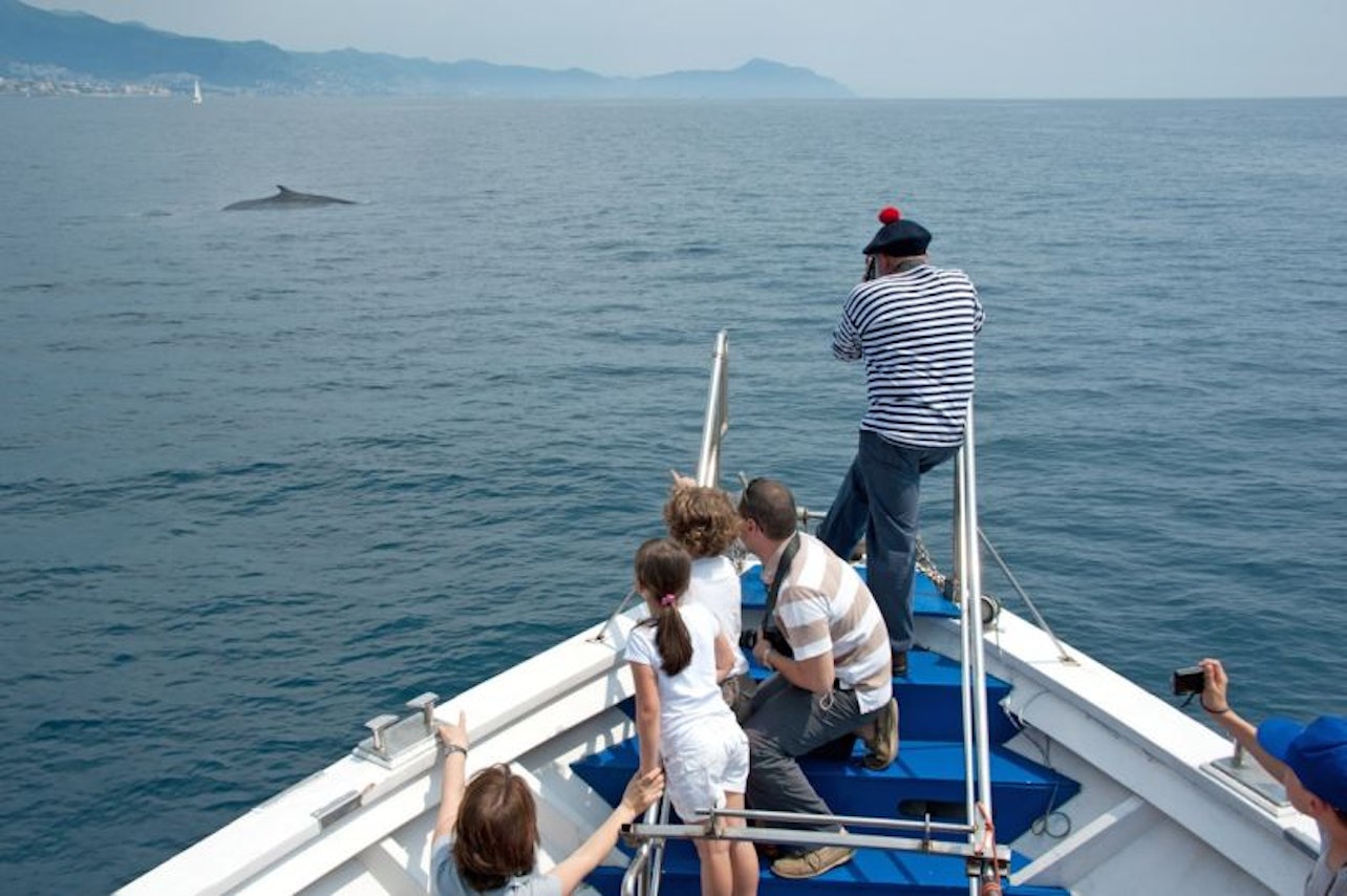 Acquario di Genova e crociera con osservazione delle balene - Alloggi in Genova