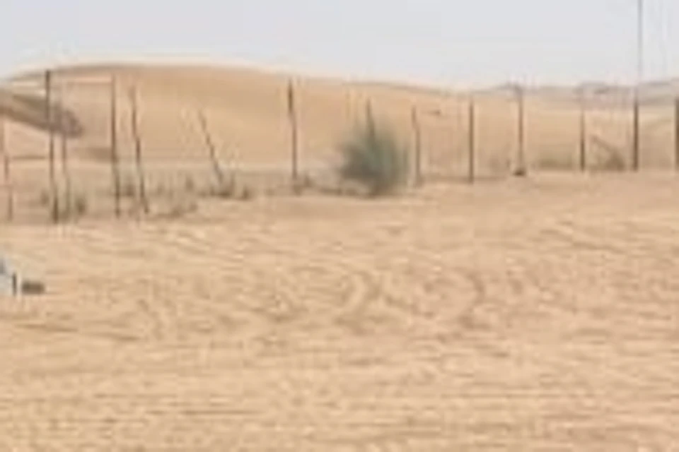 Quad biking in the desert