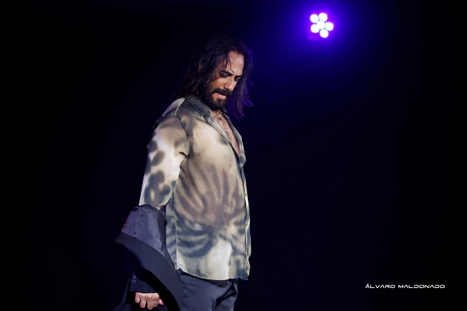 Tablao Flamenco Alma show