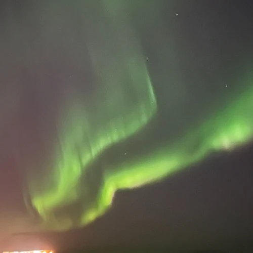 Reykjavik: Whale Watching & Northern Lights Combo Cruise - Photo 7