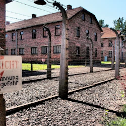 Auschwitz-Birkenau: Guided Tour + Transport