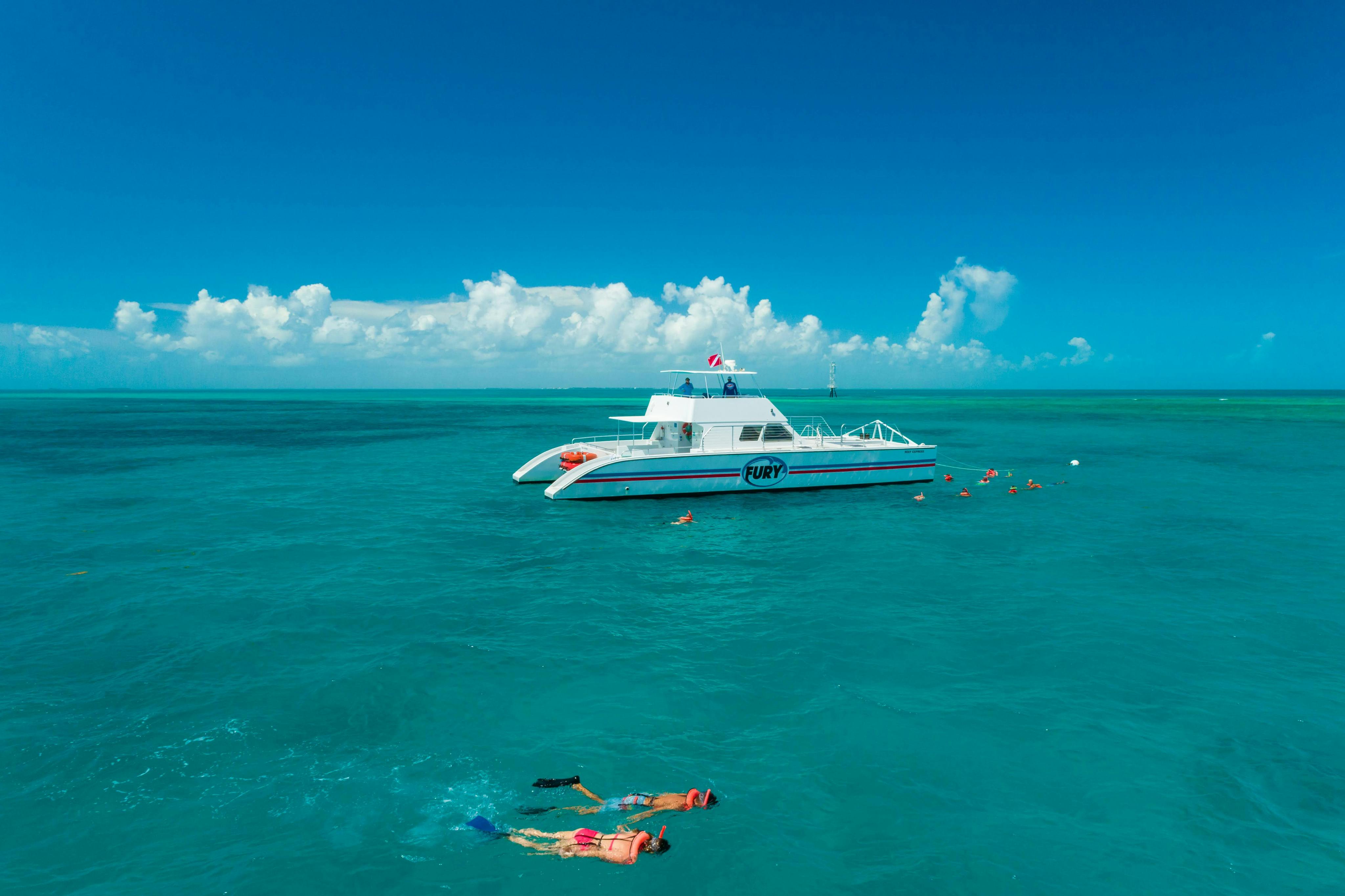 Double Dip Snorkel Trip - Photo 8