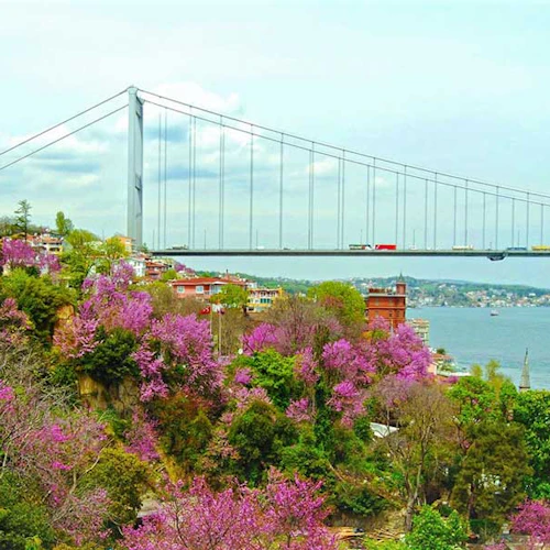 Istambul: excursão guiada pelo Bósforo e Mar Negro com cruzeiro e almoço - Photo 6
