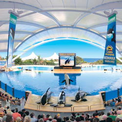Loro Parque: Entry Ticket 3