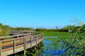 Nationaal park Everglades