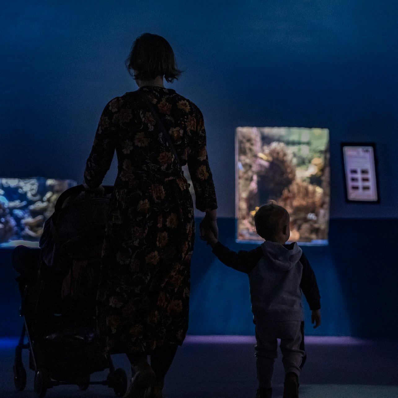 Aquarium de Paris: Entry Ticket in Paris – Tiqets