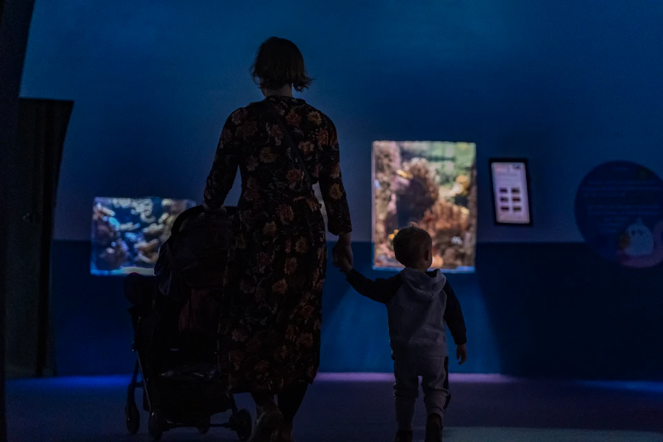 Family in front of fish tanks