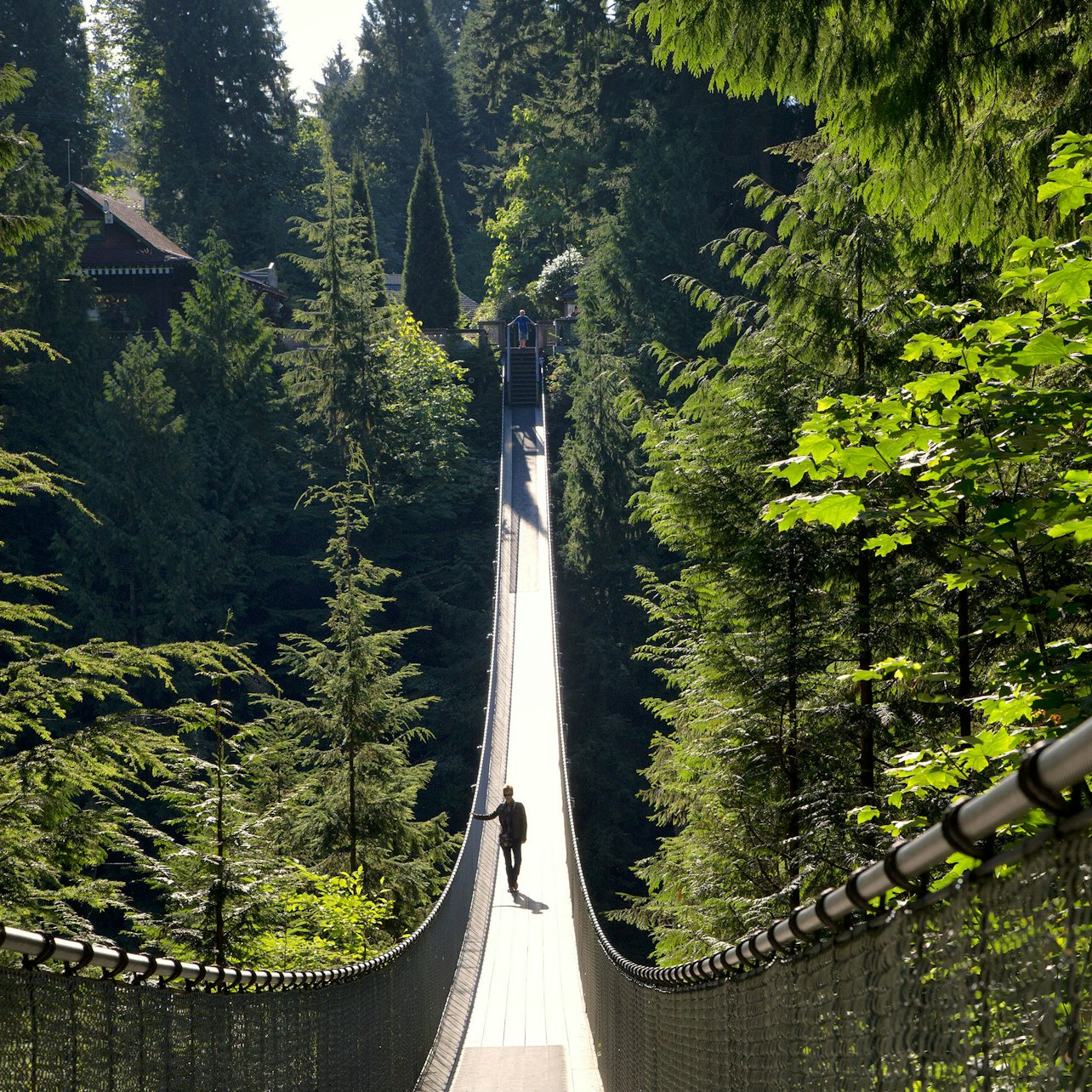 Parco del Ponte Sospeso di Capilano - Alloggi in Vancouver