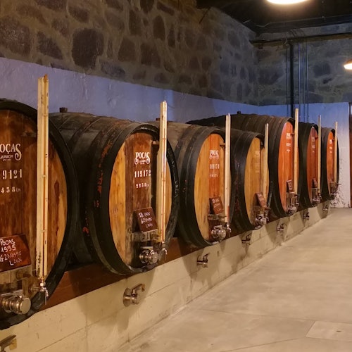Caves Poças: Douro & 1 Port Wine Tasting