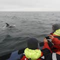 Clientes a bordo con un delfín de pico blanco a un par de metros del barco.