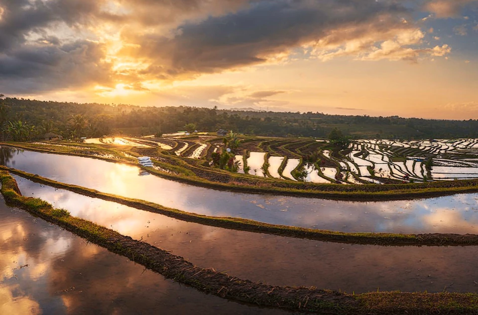 Terraced rice fields at sunset with waterlogged paddies reflecting the golden sky and rolling hills in the background.