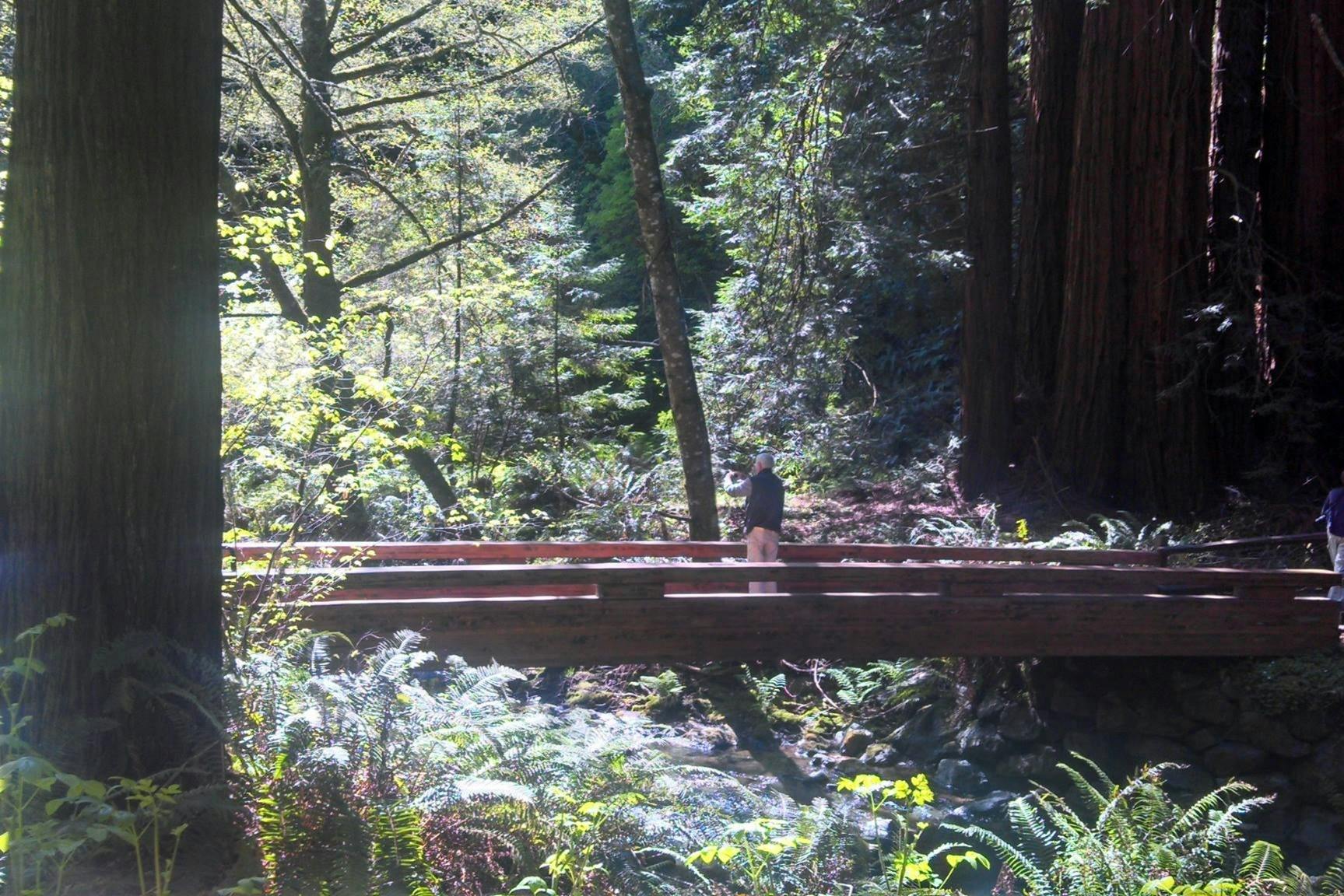 Monument national de Muir Woods