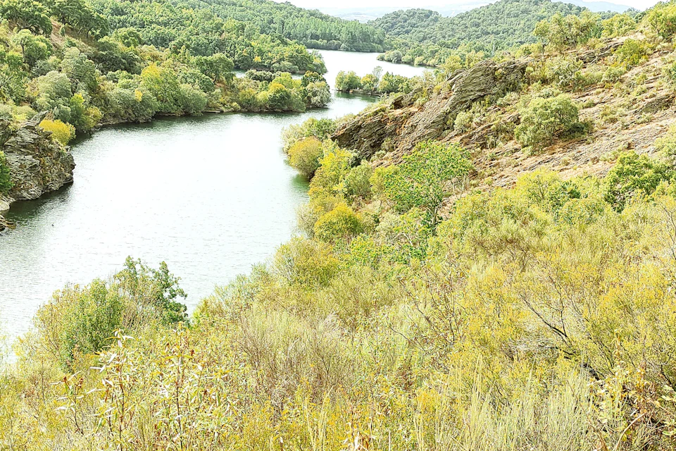 Wild trails