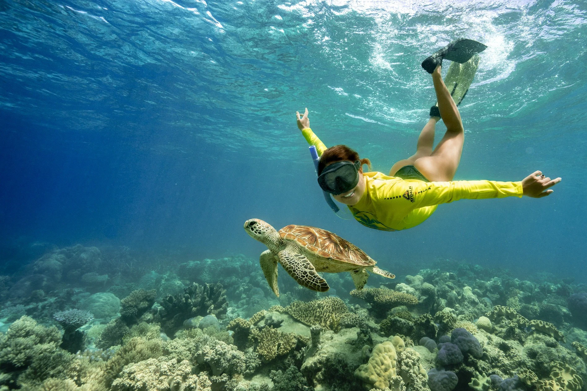 Ocean Safari Great Barrier Reef Tour from Cape Tribulation