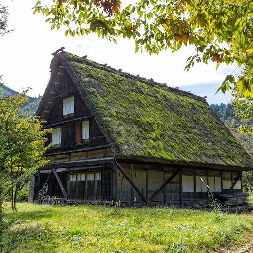 Shirakawa-go: Visita guiada + Visita opcional a Kanazawa e viagem de ida e volta de comboio de alta velocidade - Photo 5