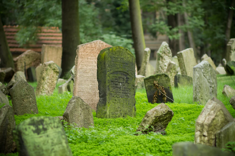 Old, weathered tombstones covered in moss, surrounded by vibrant green grass and trees in the background.