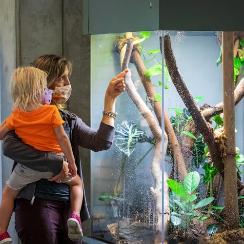 California Academy of Sciences: General Admission