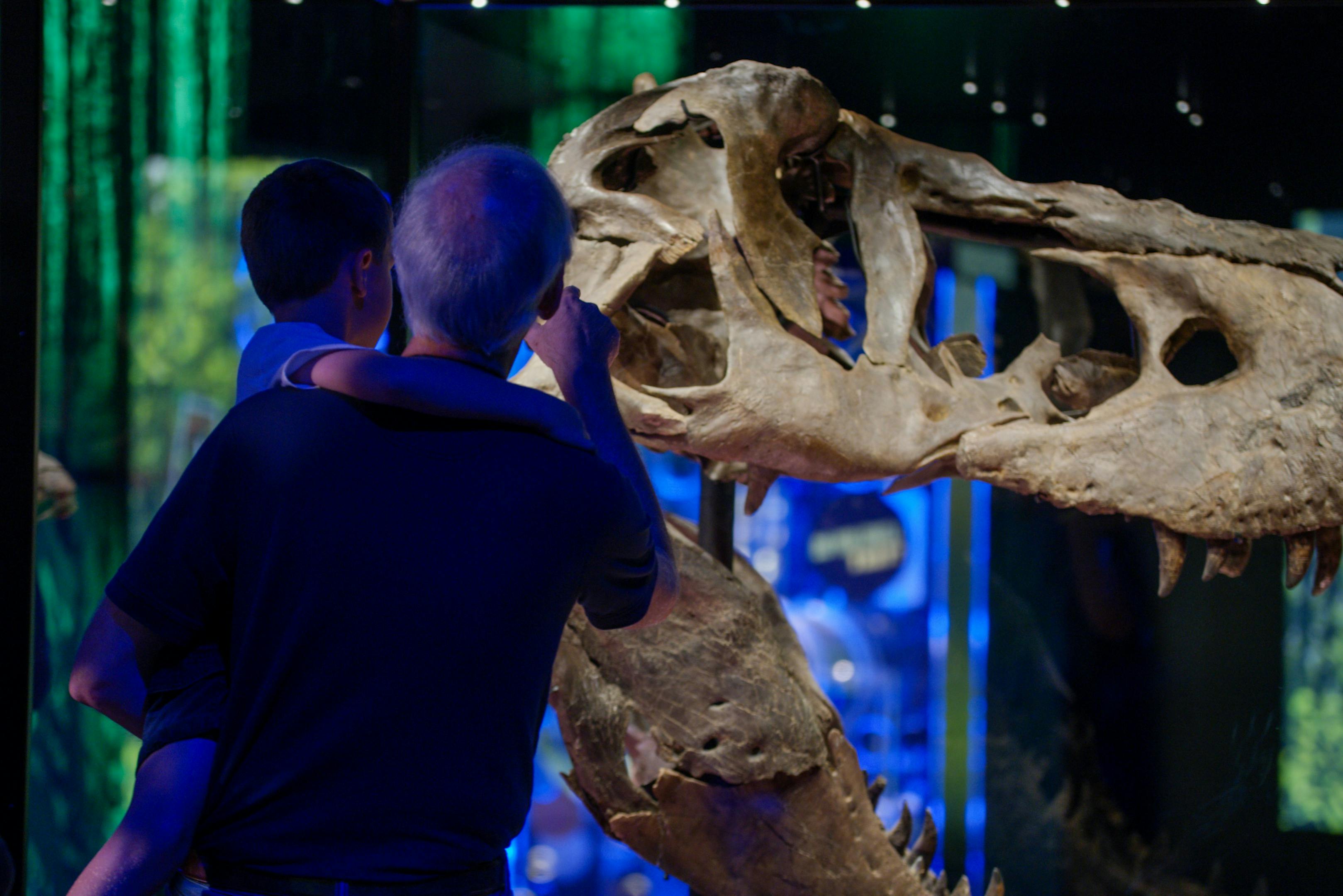 Melbourne Museum Victoria the T. Rex