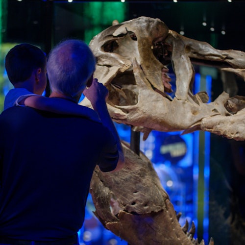 Melbourne Museum: Skip The Line Ticket for Victoria the T. Rex