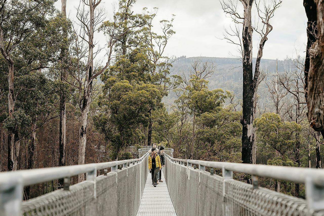 People walking on a metal bridge surrounded by tall trees and forested scenery under a cloudy sky.