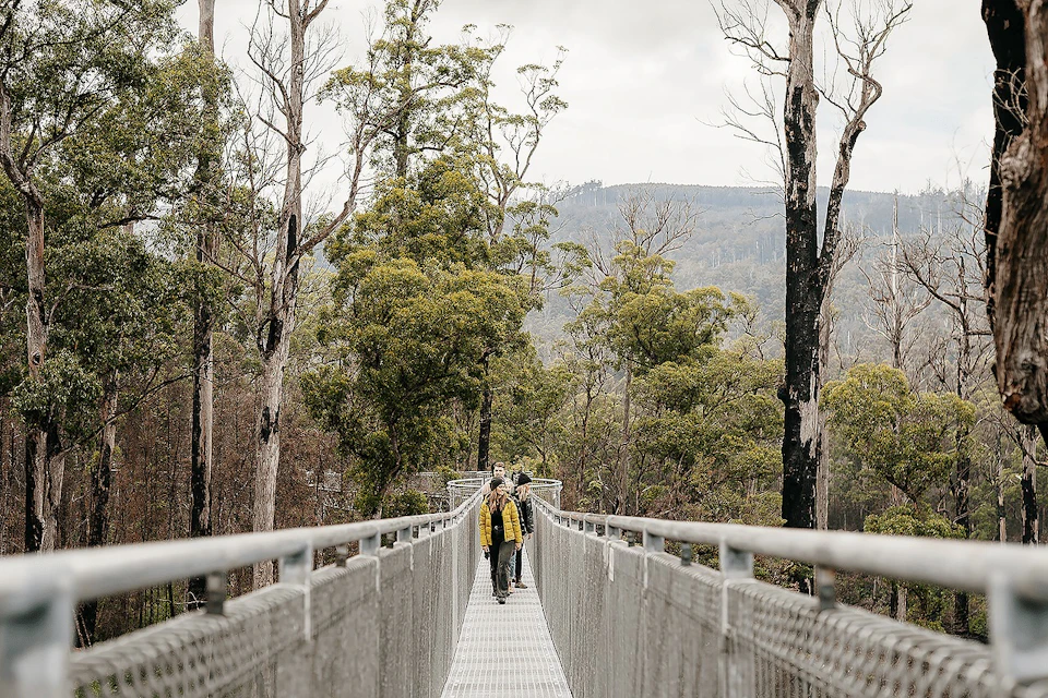 People walking on a metal bridge surrounded by tall trees and forested scenery under a cloudy sky.