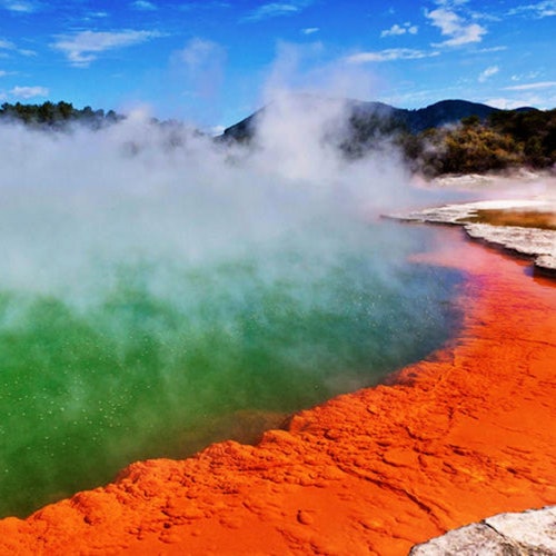 País de las Maravillas Termales de Waiotapu: Entrada