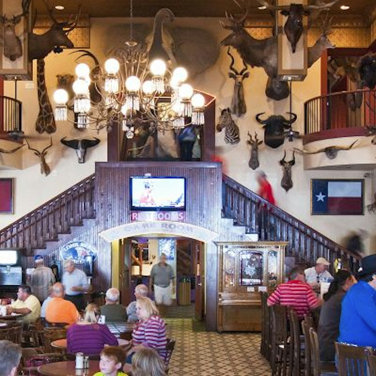 Buckhorn Saloon y Museo Texas Ranger + Bus turístico San Antonio - Alojamientos en San Antonio