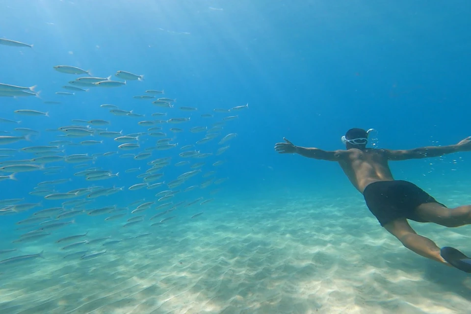 snorkeling