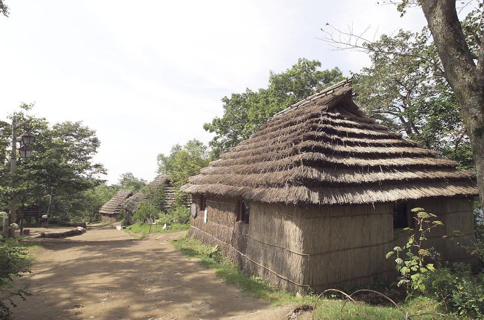Traditional thatched-roof huts in a rural setting surrounded by trees on a sunny day.
