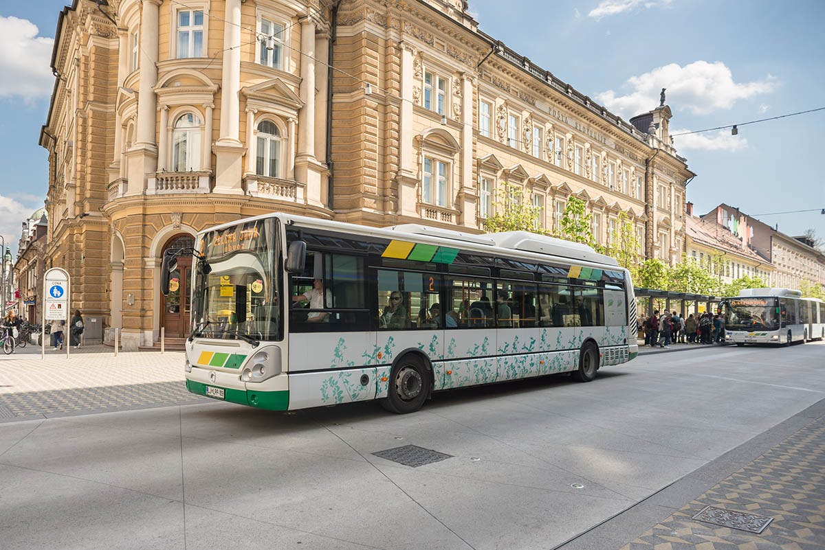 Zeleno-bílý městský autobus s květinovým vzorem na boku, zaparkovaný na ulici poblíž historické budovy.